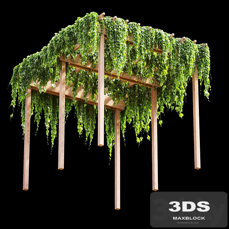 Pergola with grape leaves v2