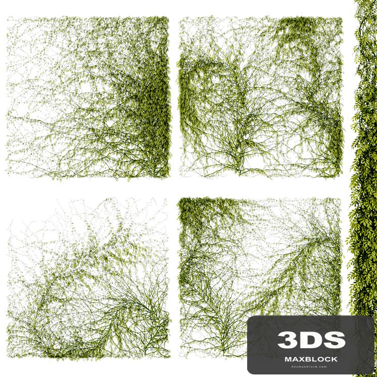 Leaves for walls v4