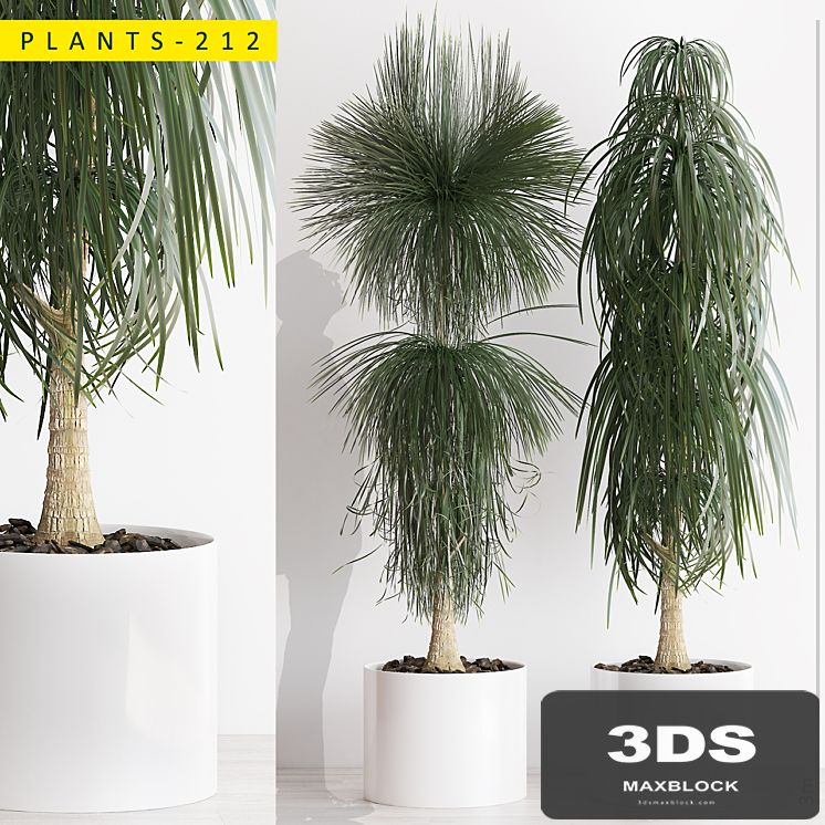 PLANTS 212