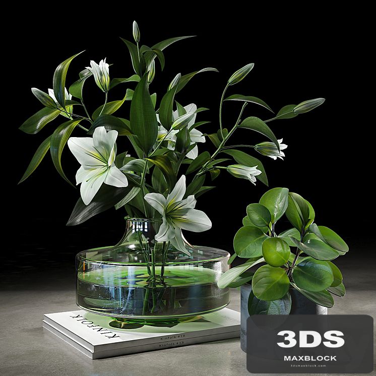 Decorative set 005