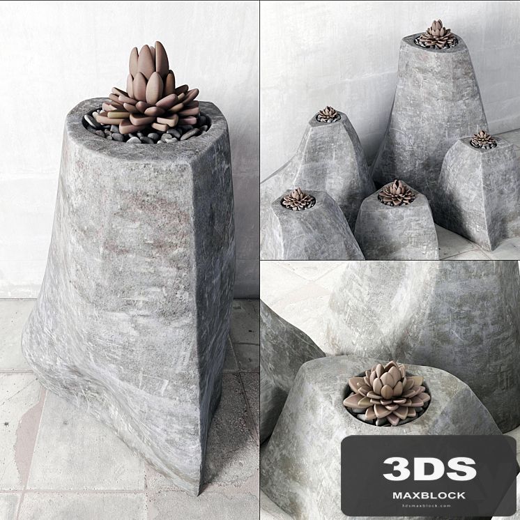 Succulent rock vase