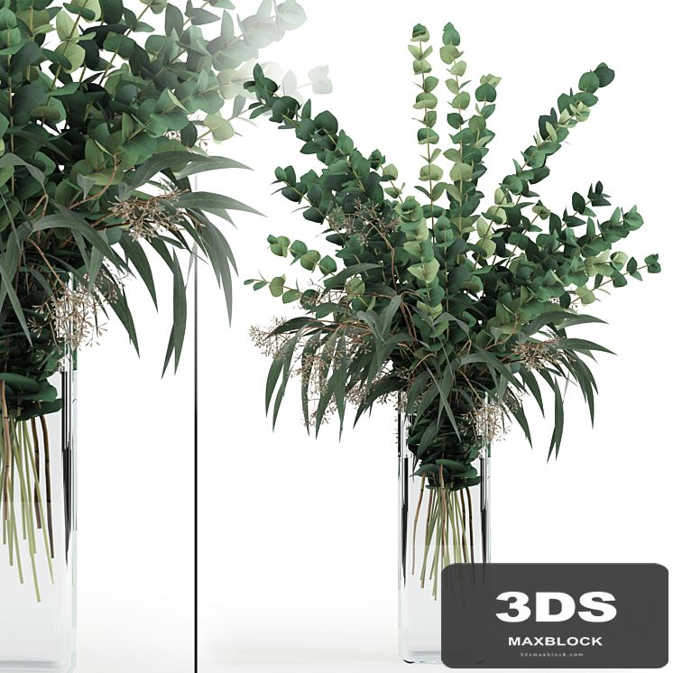 Eucalyptus in tall vase