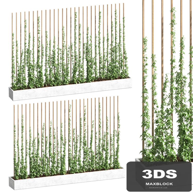 Ivy partition