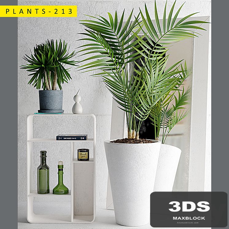 plants 213