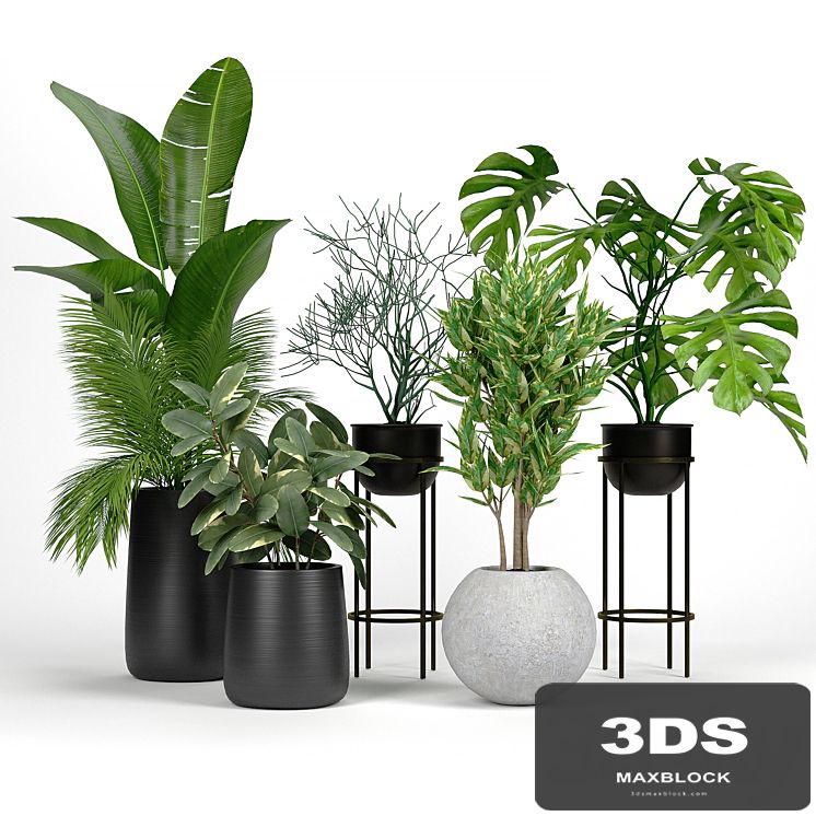 Set Crate and Barrel 04