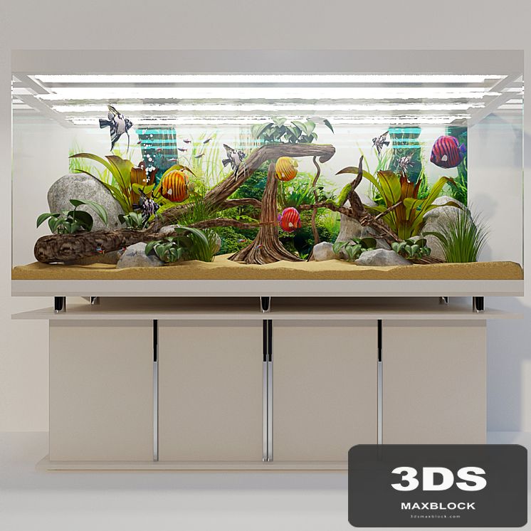 Aquarium "Tropiki"