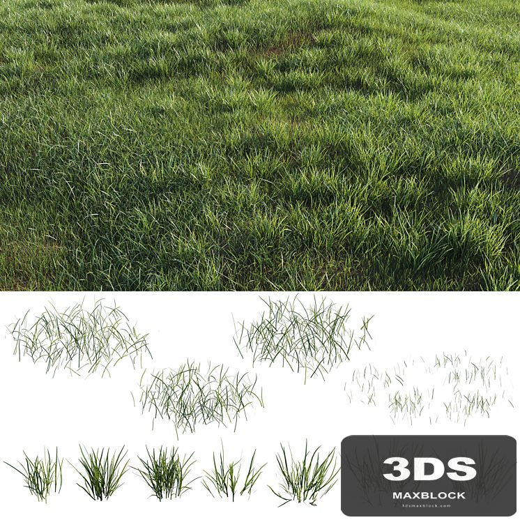 Grass-plot