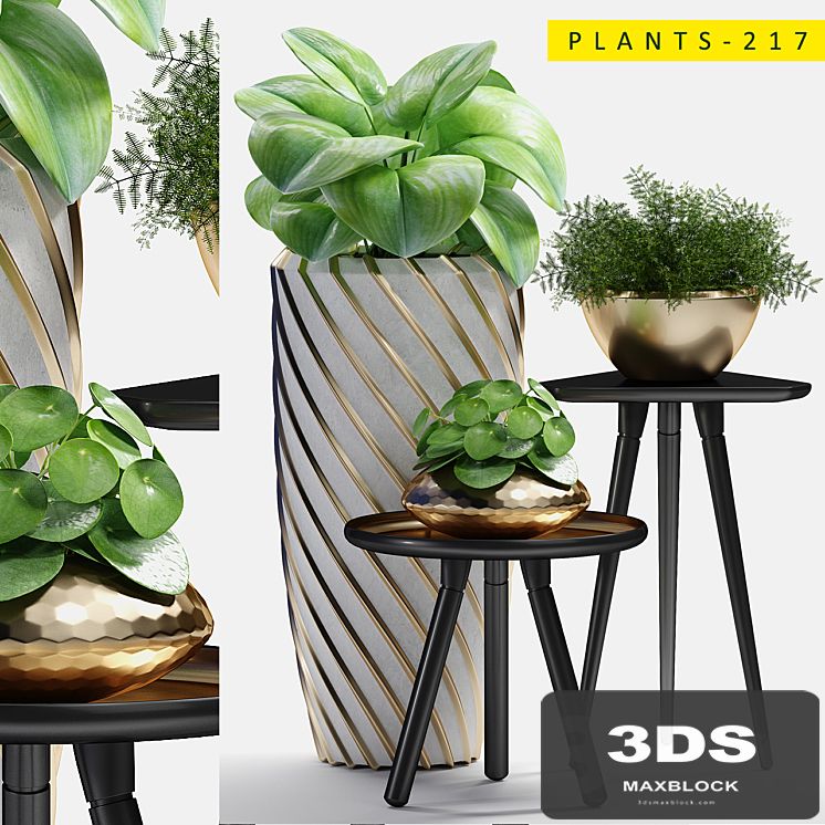 plants 217
