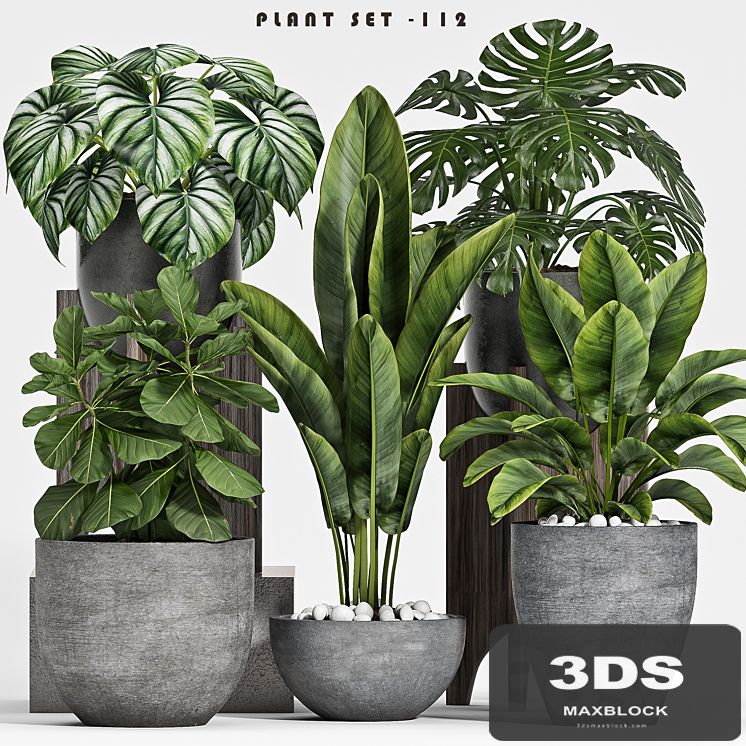plant set-112