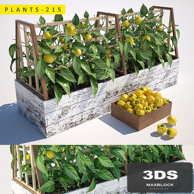 plants 215