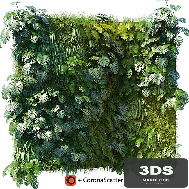 Phytowall 1