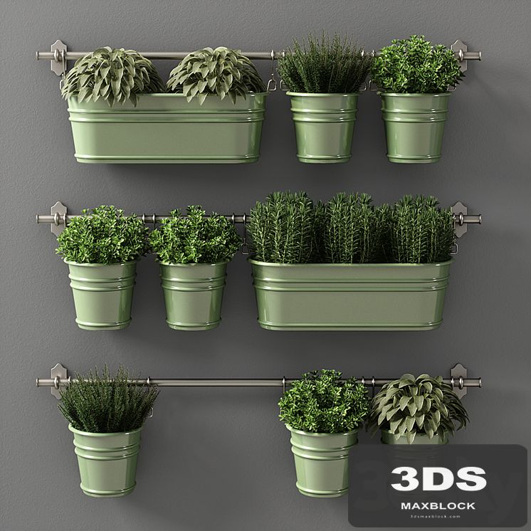 plants set 08