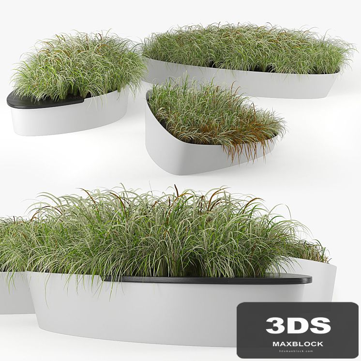 Planterworx dune