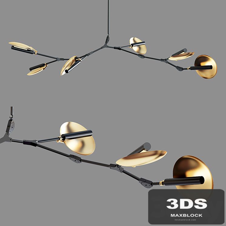 Branching Disc