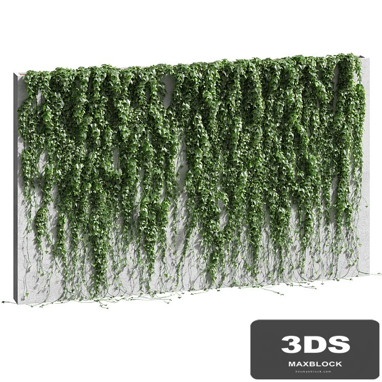 Ivy for the fence v2