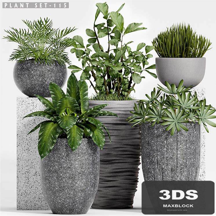 Plant set-115