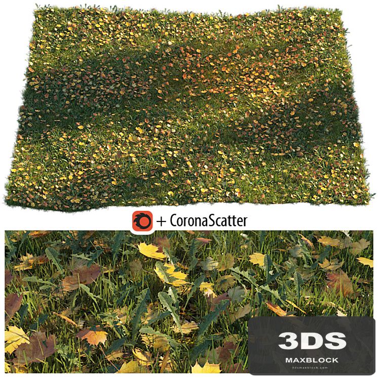 Lawn with dry maple leaves