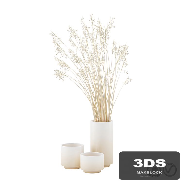 Vase set with dry grass