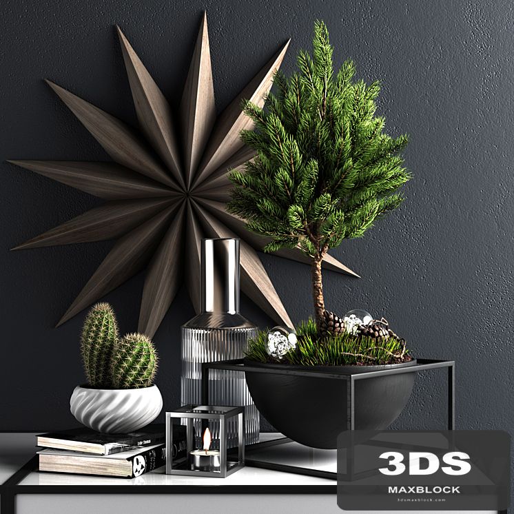 Decor set with pine tree