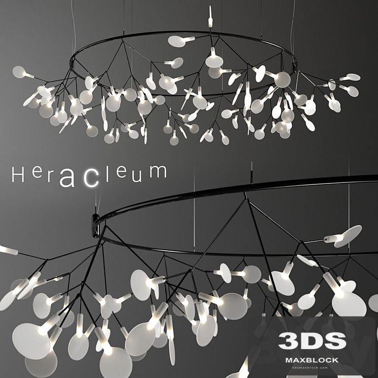 Chandelier Moooi Heracleum Big O Small BLACK