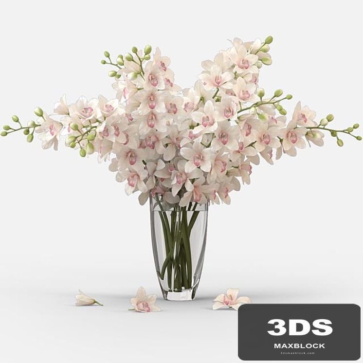 Bouquet of orchids