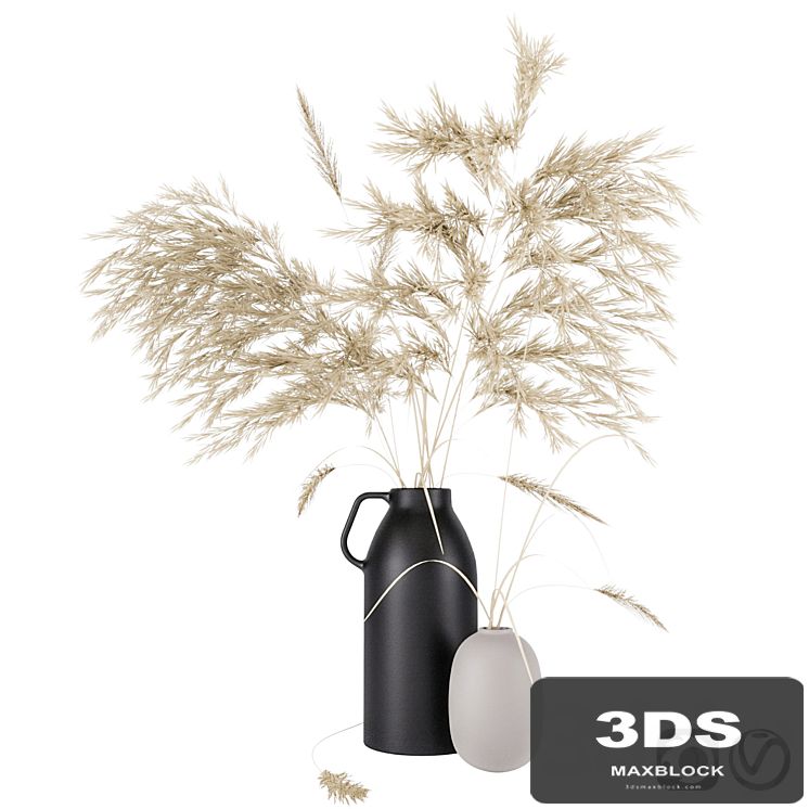 Vases set by H & M with pampas grass