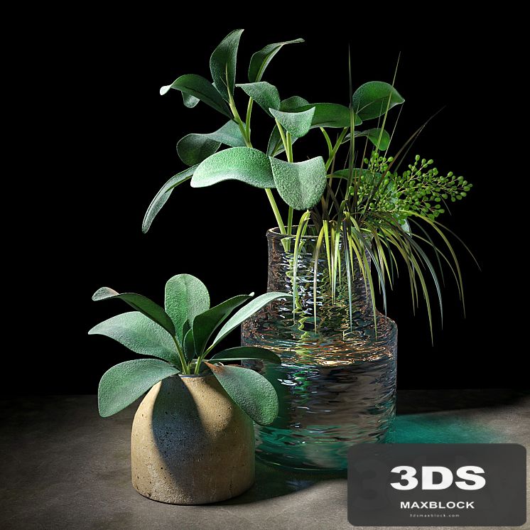 Plant set 04