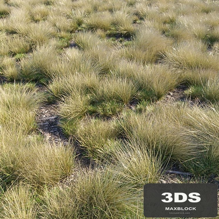 Eskdale grass