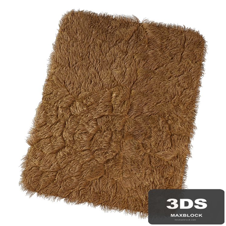 Carpet with long pile