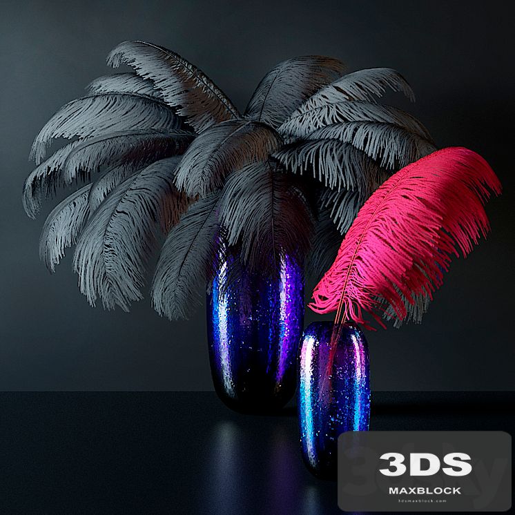 Plumage 26