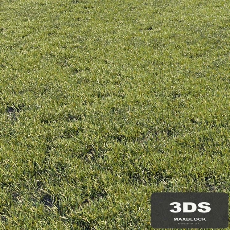 Grass kit 1