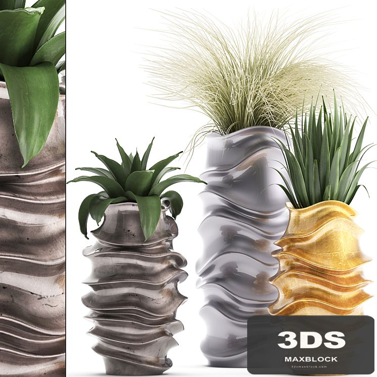 Plant collection 289. luxury flowerpot, pot, grass, agave, interior plants, luxury decor