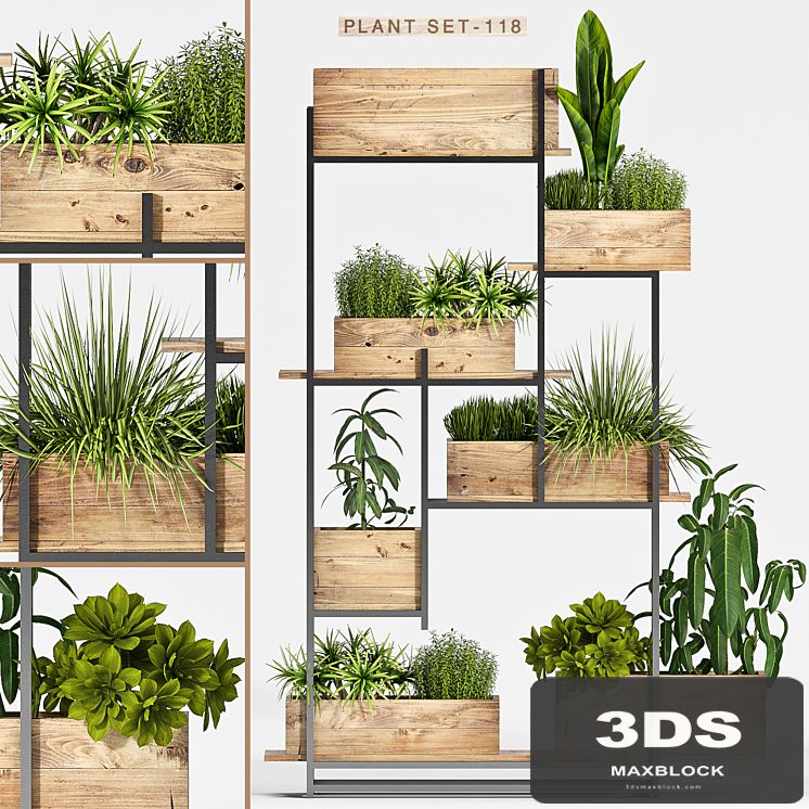 Plant set-118