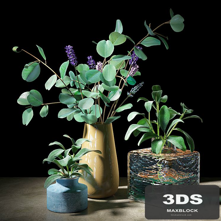 Plant set 05