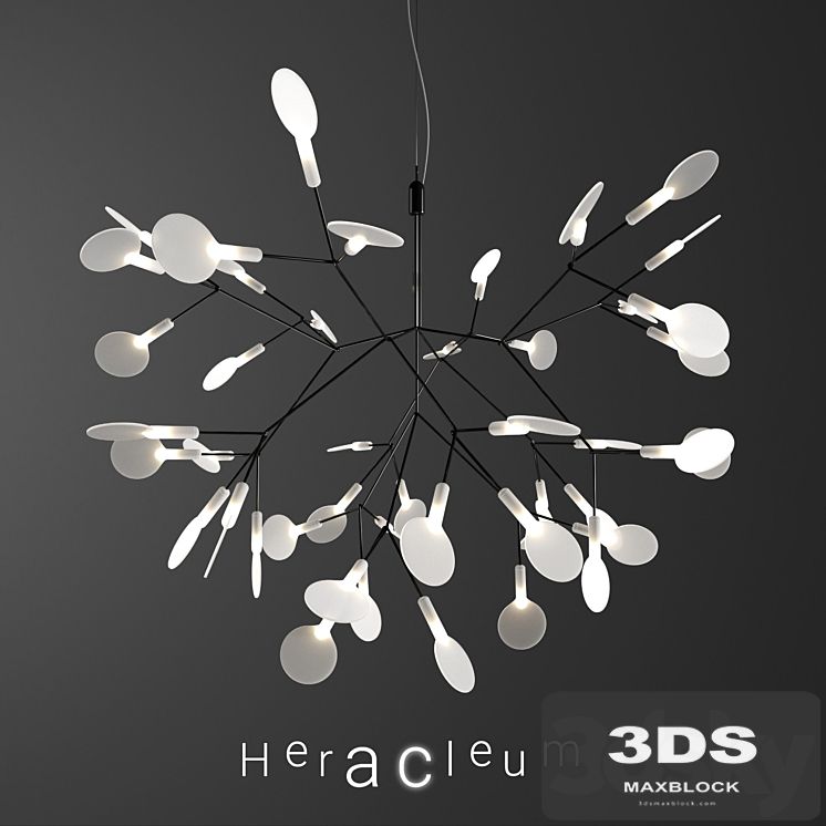 Chandelier Moooi Heracleum II Small BLACK