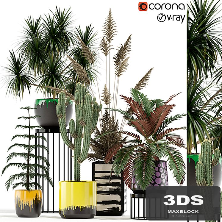 Plants collection 139