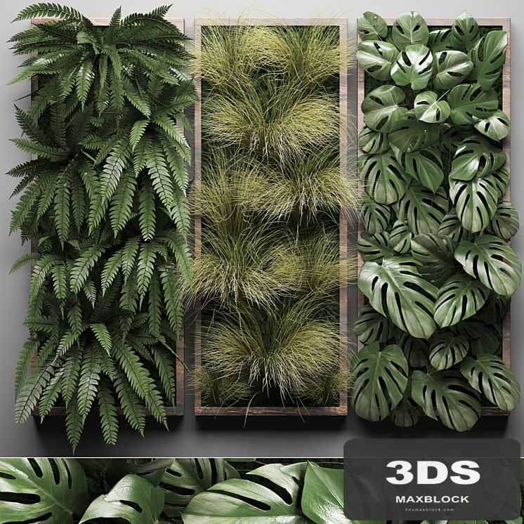Vertical garden 29. Phytowall, picture, grass, fern, monstera, wall decor, phytomodule, vertical garden