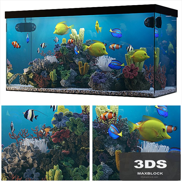 Seawater aquarium