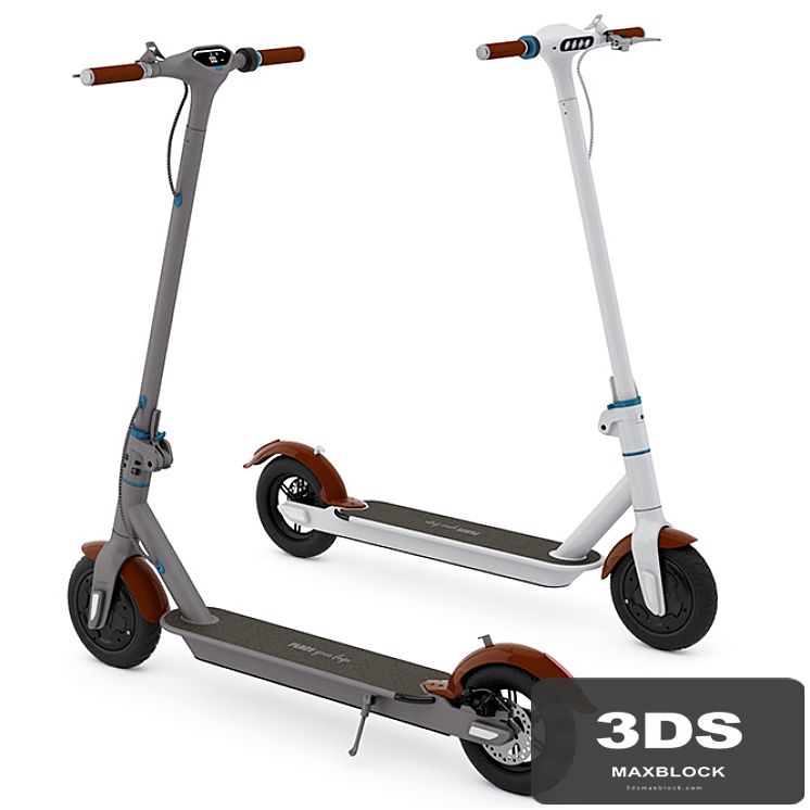 Electric Scooter