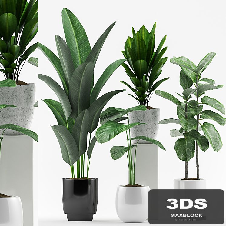 Plants 127