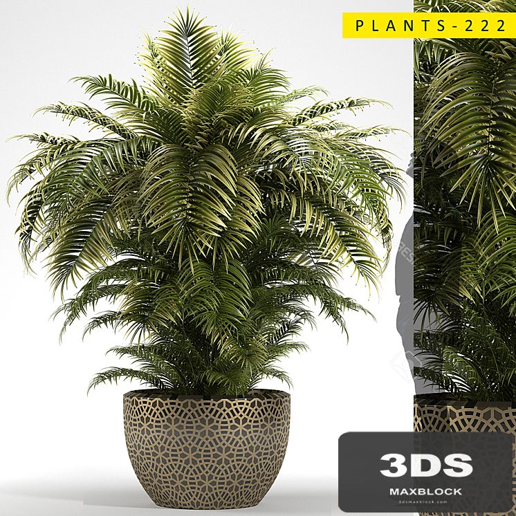 PLANTS 222