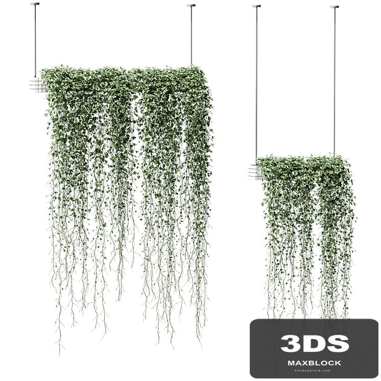 Plants in hanging pots. 2 models