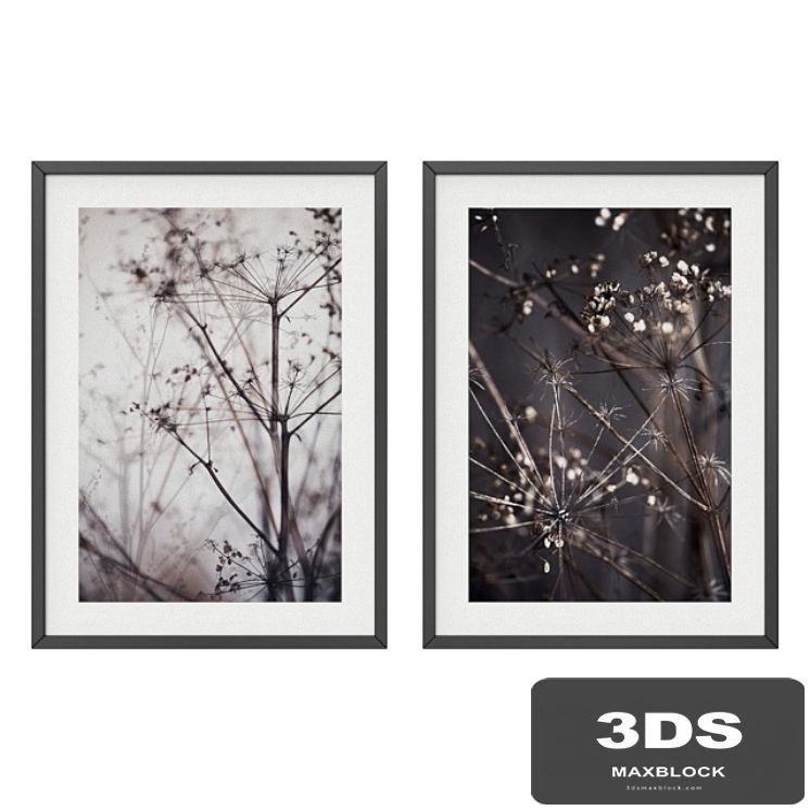 Dry plant set