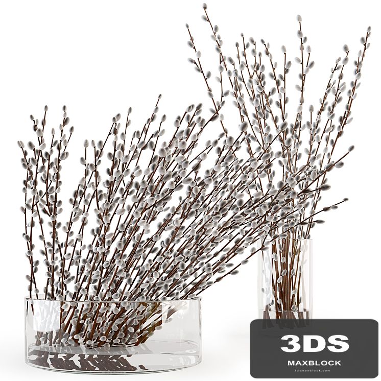 Branches in a vase 006