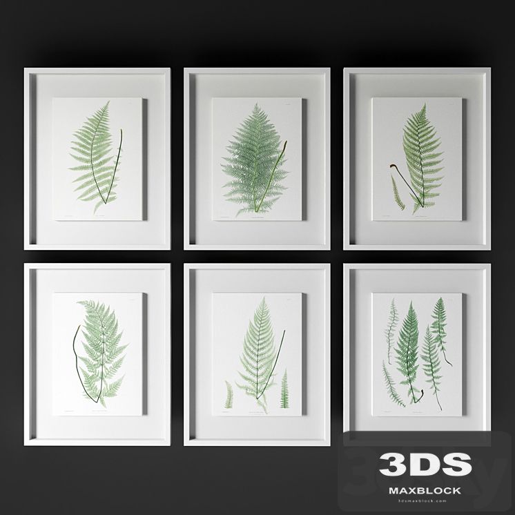 Johnrichard - Antique Frond