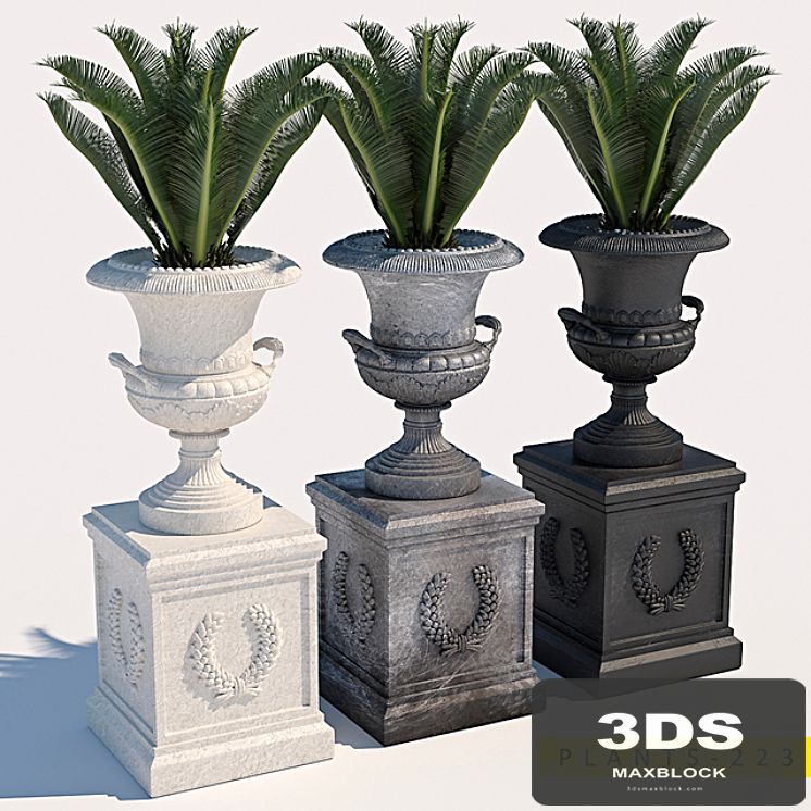 plants 223