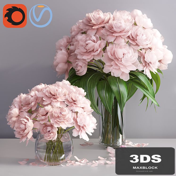 pastel pink peonies in 2 glass vases set