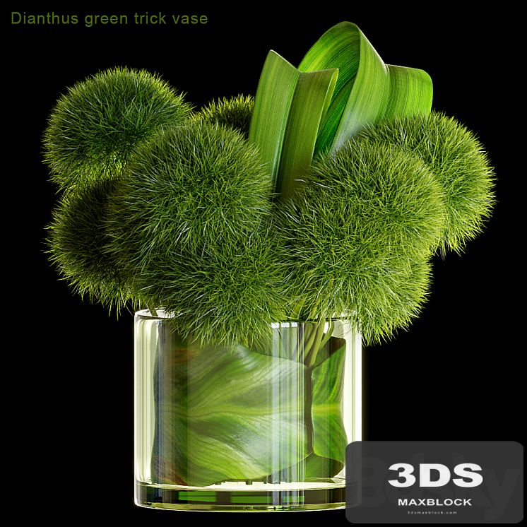Dianthus green trick vase