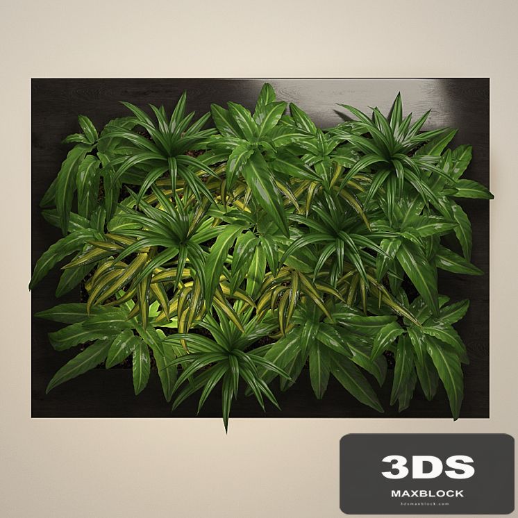 Fitowall_5