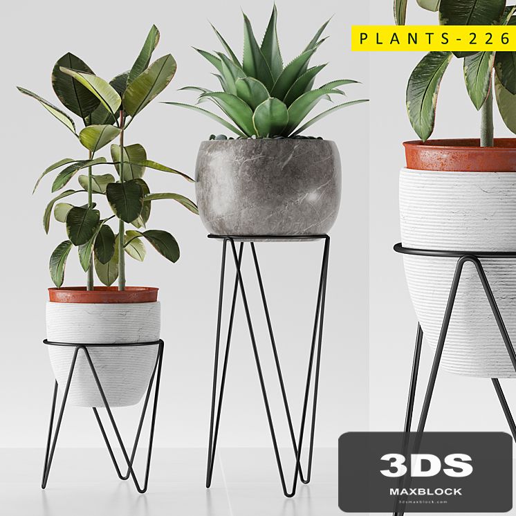 plants 226